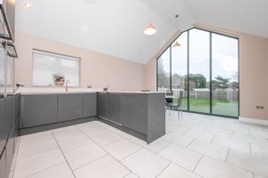 THE CONIFERS- click for photo gallery